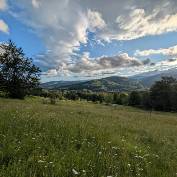 Teren de vanzare Valea Doftanei