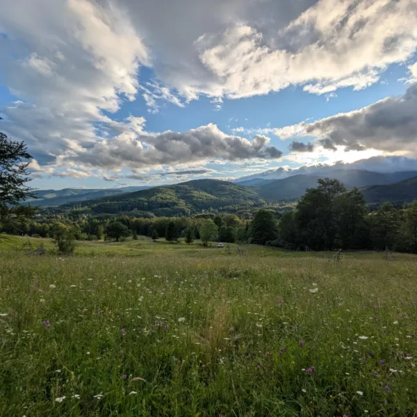 Teren de vanzare Valea Doftanei